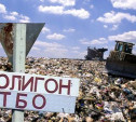 В Узловском районе выделили участок земли под мусорный полигон
