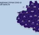 В каких городах и селах Тульской области есть коронавирус: карта на 4 июня