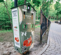 В Платоновском парке появился аппарат по продаже корма для белок и уток