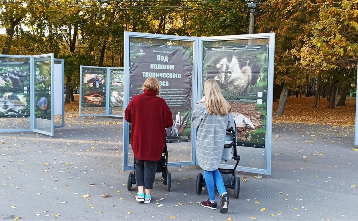 В Белоусовском парке Тулы открылась «тропическая» фотовыставка