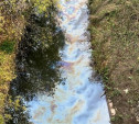 Туляки пожаловались на загрязнение реки Воронки
