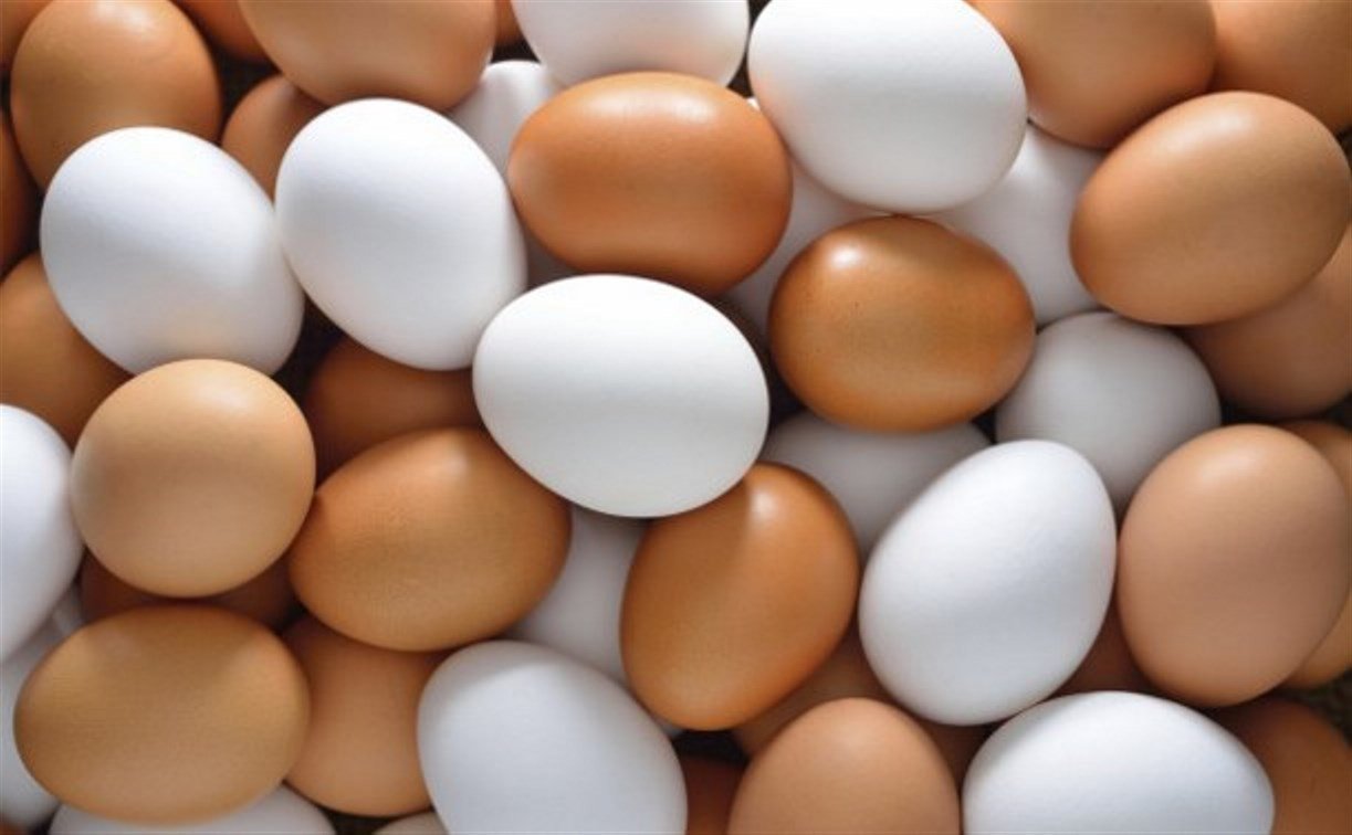 Сотрудник тульской птицефабрики украл яиц на 3500 рублей