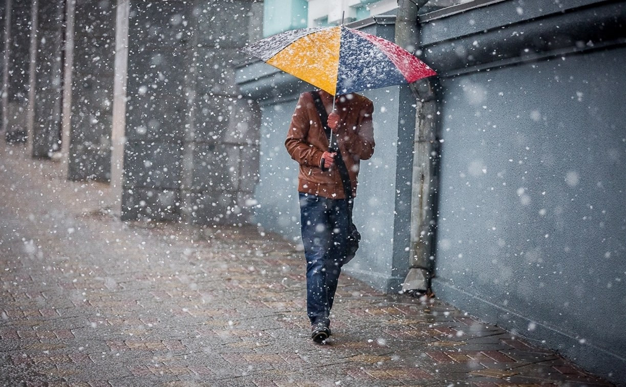 Погода в Туле 20 декабря: снег, заморозки и гололёд