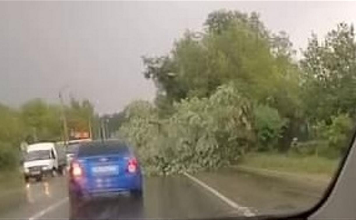На трассе Тула-Новомосковск упавшее дерево заблокировало одну полосу и спровоцировало гигантскую пробку