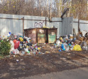Власти Щёкино прокомментировали невывоз мусора в городе