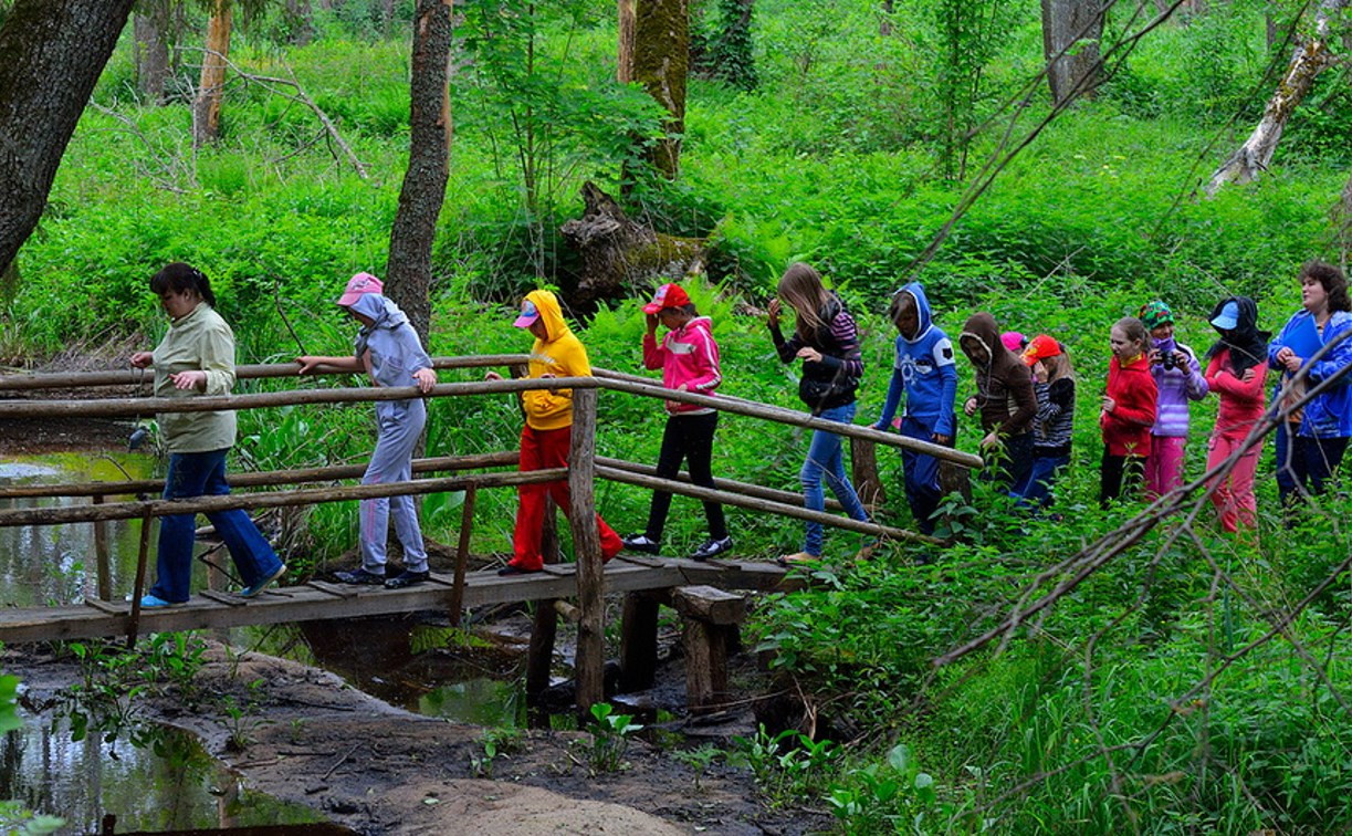 В Новомосковске для дошкольников сделают «экологическую тропу»