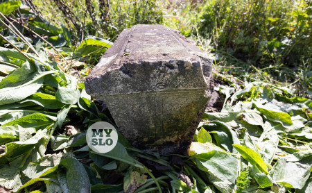 Жизнь Тулы и области