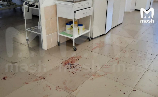 В Тульской области застрелен буйный пациент, пытавшийся убить врачей районной больницы и сотрудника Росгвардии