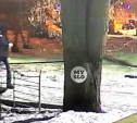 Поджигатели авто на Красноармейском проспекте попали на видео: нужна помощь очевидцев