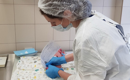 Жизнь Тулы и области