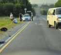 В ДТП на трассе М2 погиб 32-летний мотоциклист из Орла