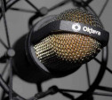 Участники всероссийского чемпионата чтецов будут использовать тульские микрофоны