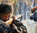 В новом охотничьем сезоне тулякам разрешат добыть 253 лося и 1315 косуль