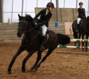 Красивые лошадки и наездницы: в Туле прошли соревнования по конкуру «Женский день» 