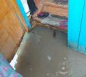 Ливневки не справились: в Туле после дождя затопило десятки приусадебных участков и улиц