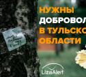 Отряд «ЛизаАлерт» ищет добровольцев в разных районах Тульской области