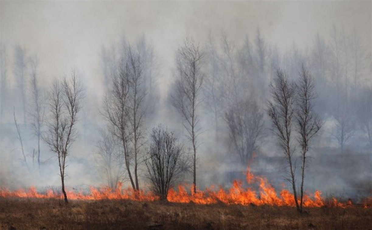 В Тульской области прогнозируется высокая пожарная опасность