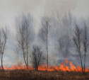 В Тульской области прогнозируется высокая пожарная опасность