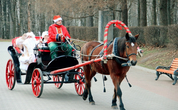 В Центральном парке Тулы открылась Резиденция Деда Мороза