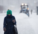 Тульскую область ждёт снежный коллапс: губернатор дал ряд поручений 