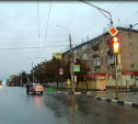 На ул. Октябрьской в Туле заметили невозмутимого «пешехама»