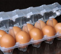 В Тёпло-Огарёвском районе расширят производство упаковки для яиц