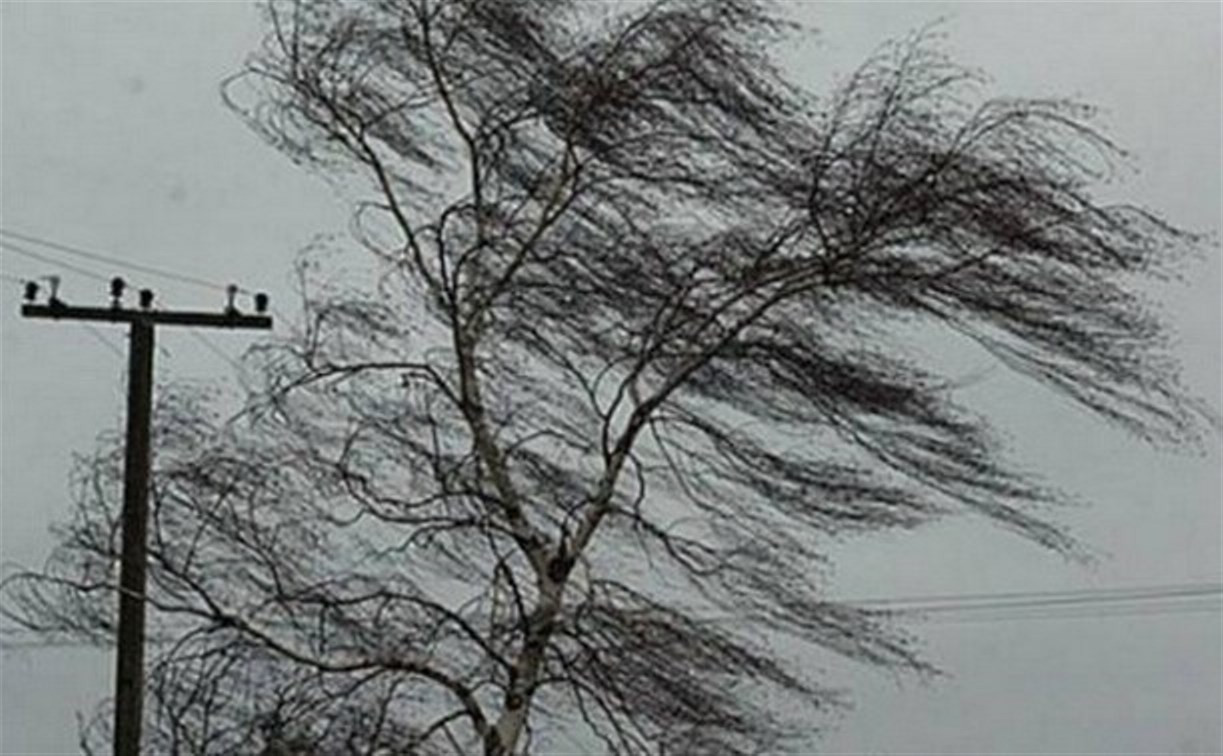 Тульское МЧС объявило экстренное метеопредупреждение на 30 и 31 января