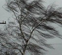 Тульское МЧС объявило экстренное метеопредупреждение на 30 и 31 января