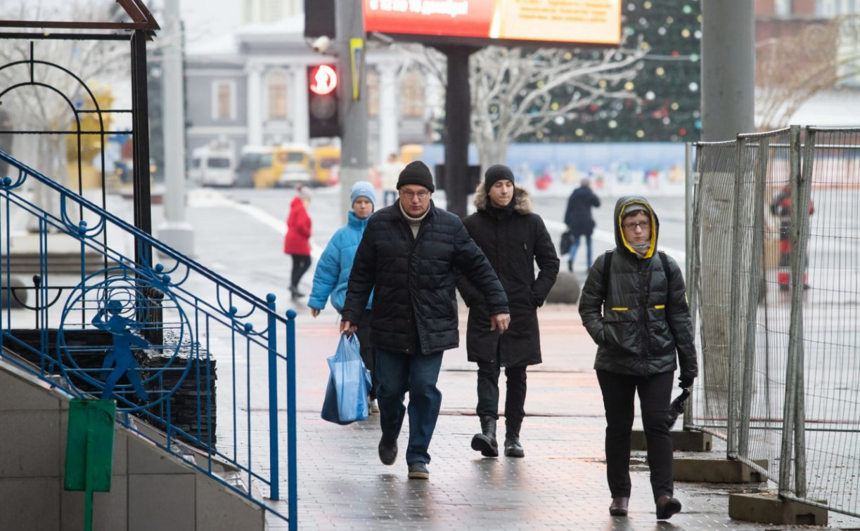 Погода в Туле 30 декабря: мокрый снег и до +3°С 