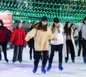 В Туле на Губернском катке пройдет ледовое шоу «Для милых дам»