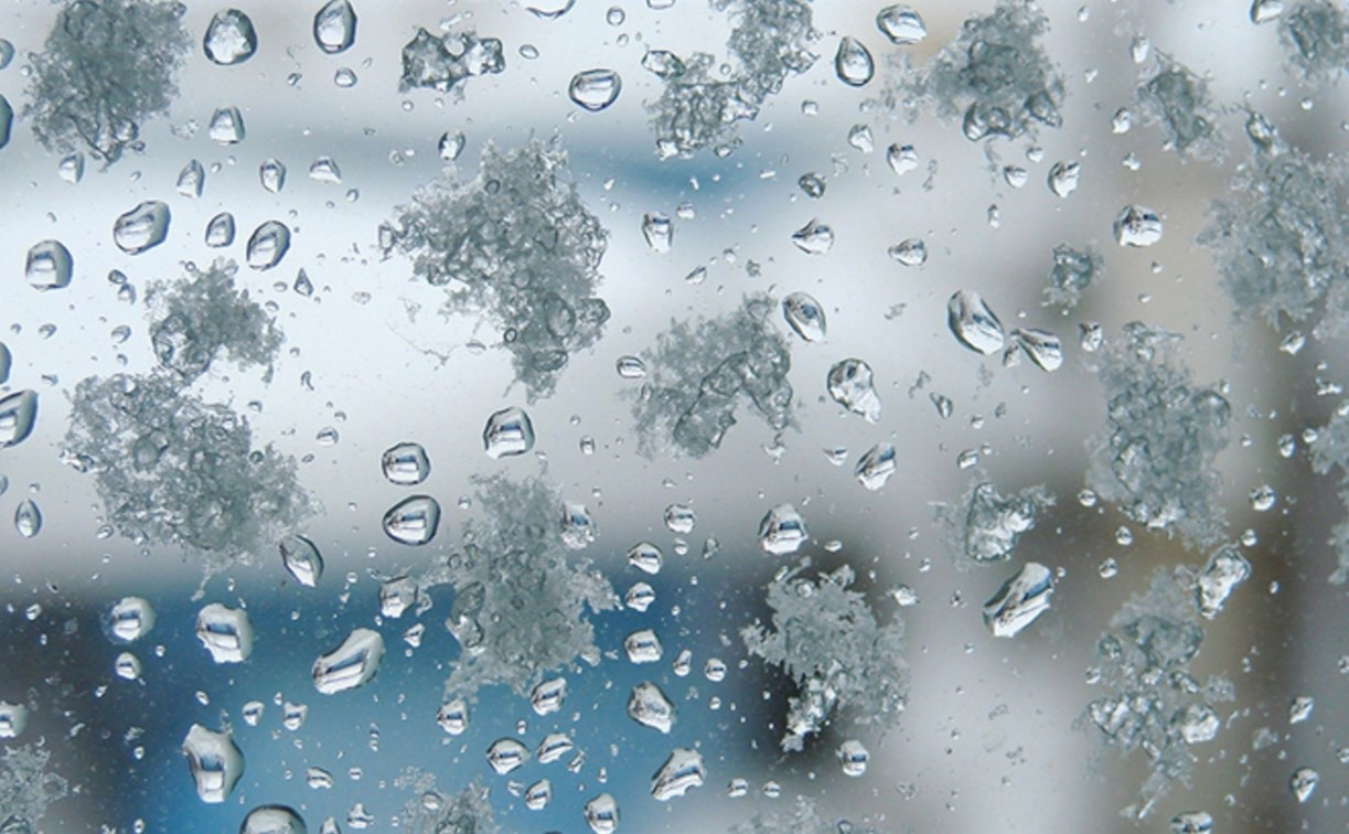 Погода в Туле 13 февраля: снег с дождём, туман и до +2