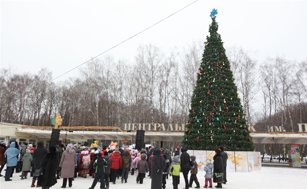 На площади Искусств открылась елка