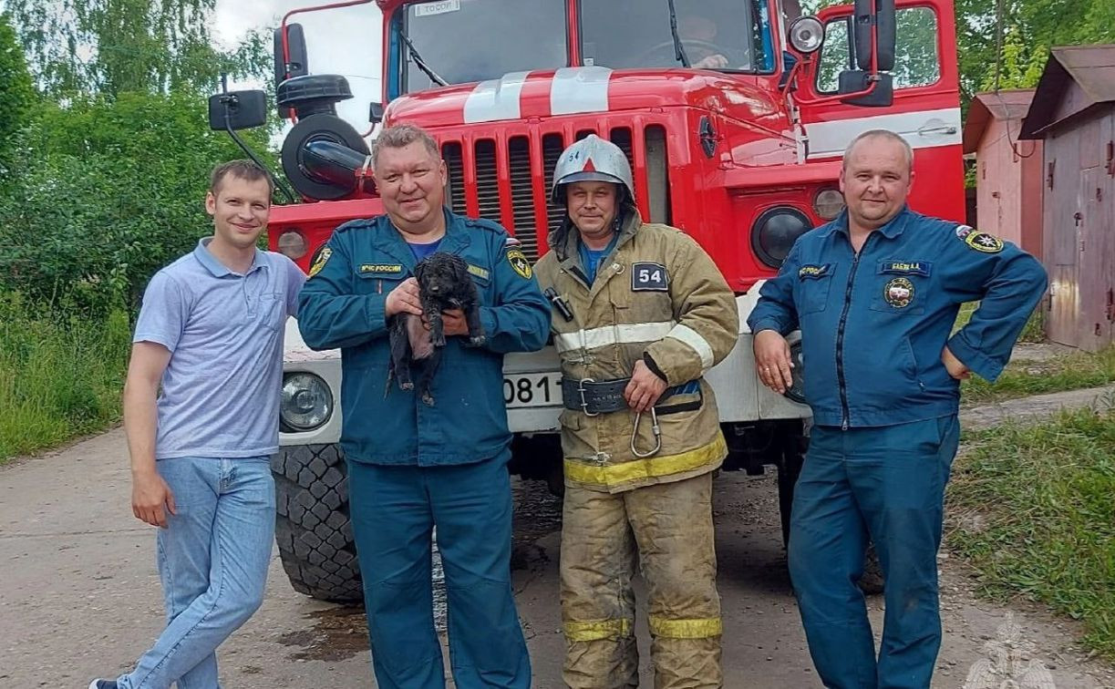 В Тульской области сотрудники МЧС спасли щенка из-под бетонных завалов