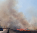 В Тульской области ожидается высокая степень пожароопасности