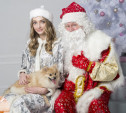 В Туле рожденным в декабре малышам свидетельство о рождении вручат Дед Мороз и Снегурочка