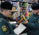 В Туле сотрудники МЧС провели рейды по местам продажи пиротехники