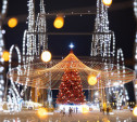 Тула получила награду за лучшую новогоднюю ёлку