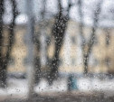Погода в Туле 31 декабря: снег с дождём и оттепель