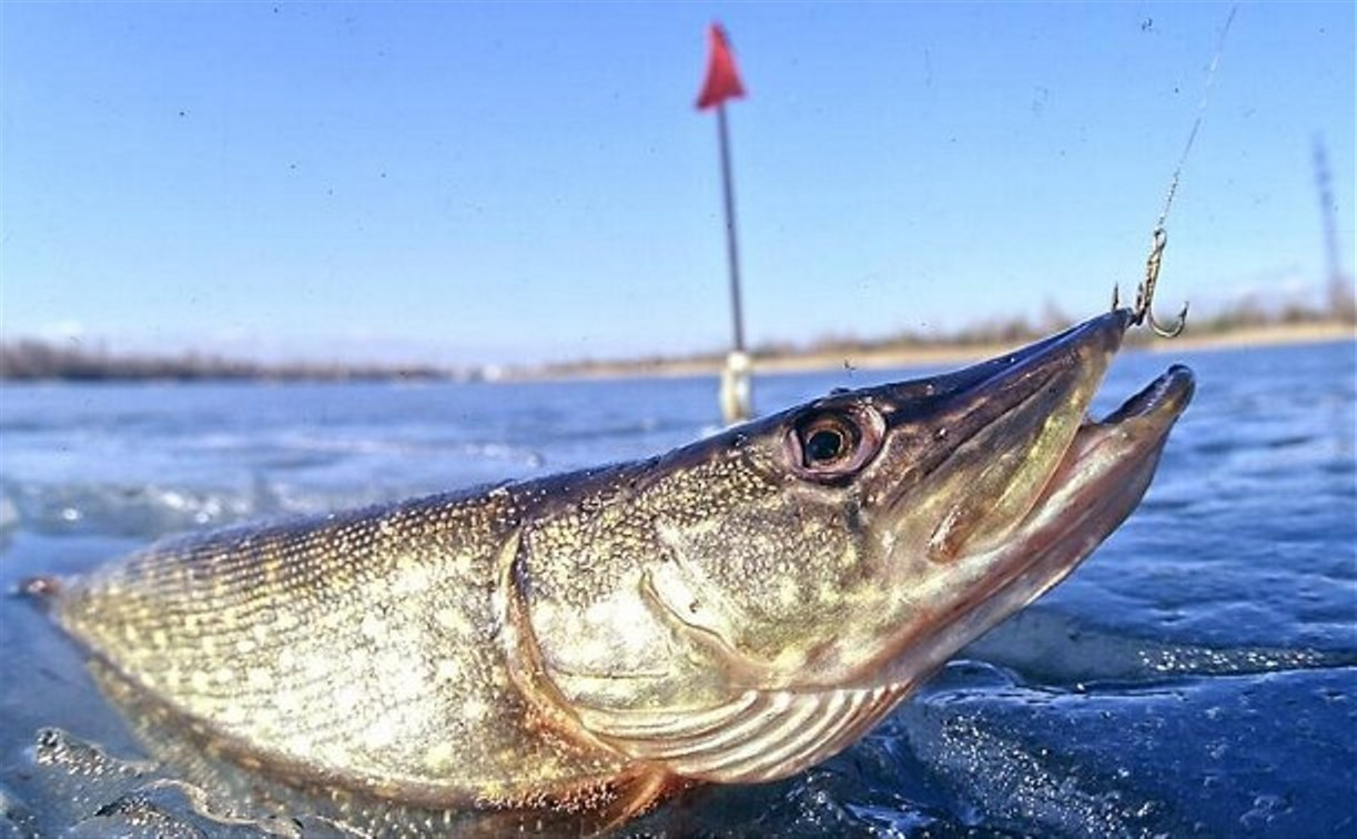 В Тульской области изменились правила рыбалки