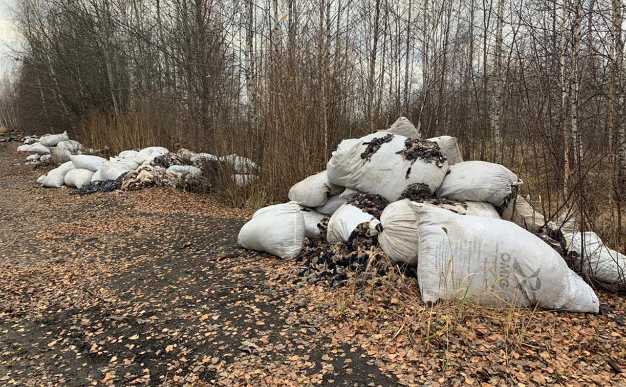 Ртутные лампы и отходы швейного производства  обнаружены в лесу под Кимовском