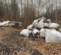 Ртутные лампы и отходы швейного производства  обнаружены в лесу под Кимовском