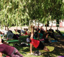 Туляков приглашают на международный день йоги