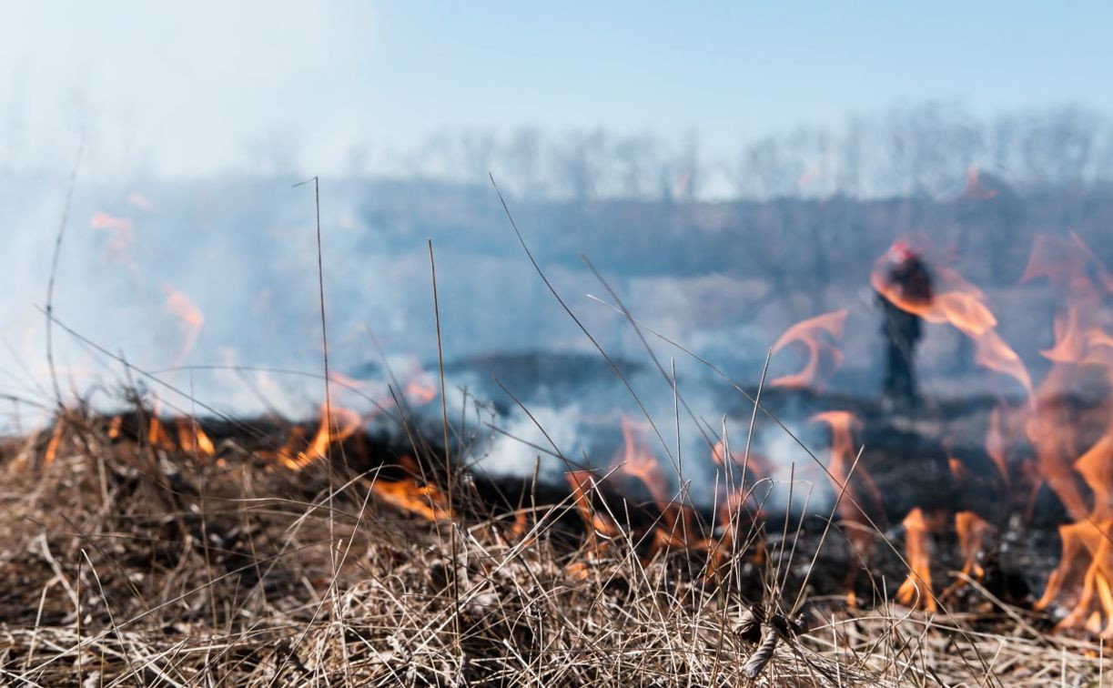 Пожароопасный период в этом году начнётся в первой декаде апреля