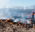 Пожароопасный период в этом году начнётся в первой декаде апреля