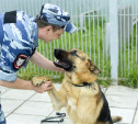 В Новомосковске служебная собака помогла задержать подозреваемого