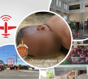 Выгнутые рельсы, чиновник-вымогатель и цены на ягоды: ТОП-5 новостей недели от Myslo
