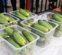 «Золотые» овощи: за месяц цена на огурцы выросла до 300 рублей за килограмм