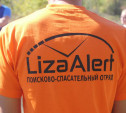 Тульскому поисковому отряду «Лиза Алерт» требуются волонтеры