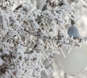 18 февраля в Туле ожидается снег и гололедица