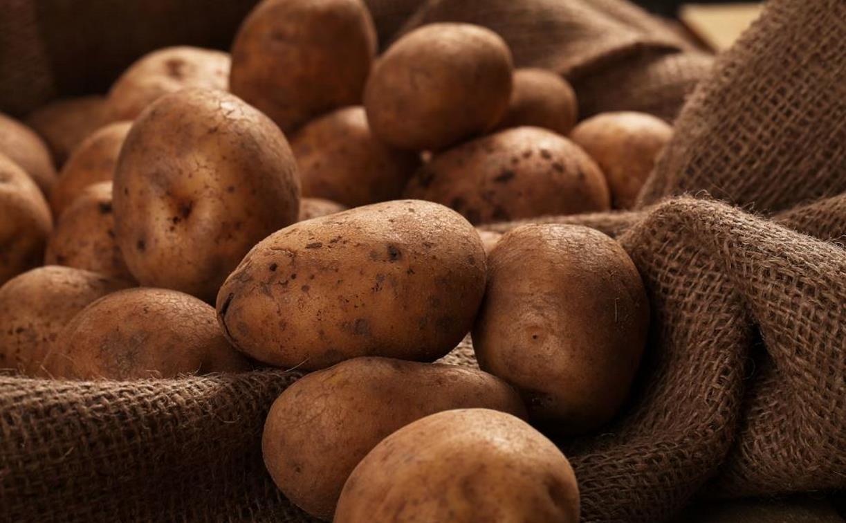 Тульские фермеры неправильно применяли пестициды при выращивании картофеля